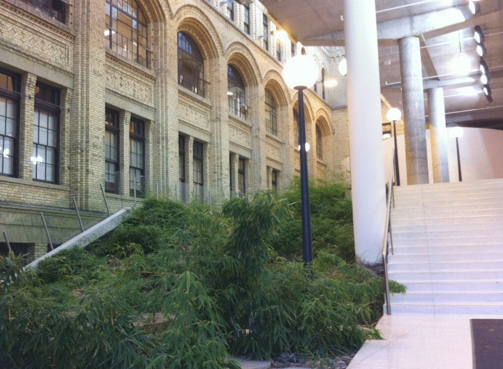 Interesting Buildings in Toronto That Tell a Story | Elli Davis