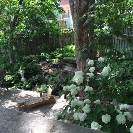 543 Cranbrooke Avenue Private Garden with Mature Trees