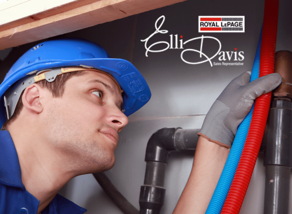 What to Look for in a Home Inspection | Elli Davis