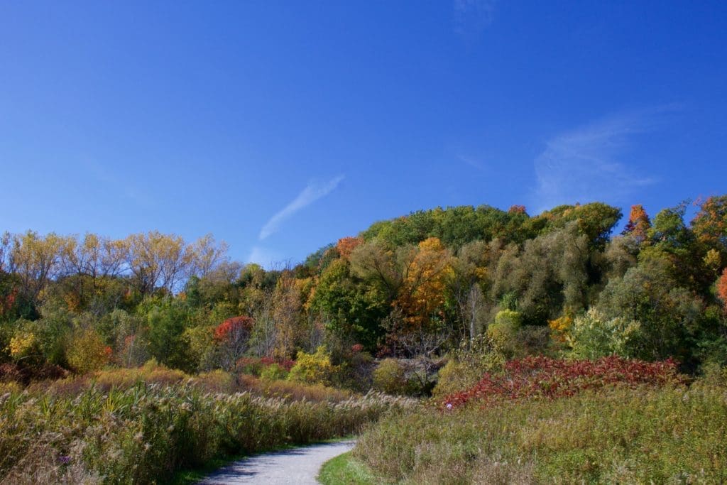 evergreen brickworks