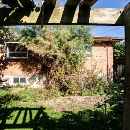 41 Beckett Avenue - Backyard