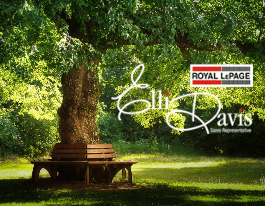 Best Toronto Parks